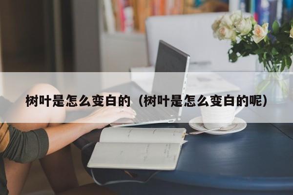 树叶是怎么变白的（树叶是怎么变白的呢） 